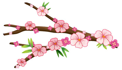 Canvas Print - Cherry blossom branch isolated