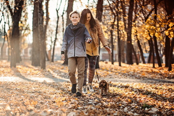 Happy family mother and teen boy son having fun with cocker spaniel puppy in autumn park