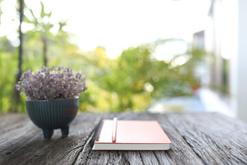 Mini Turtle Plant in blue pot and notebook