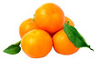 fresh mandarin oranges