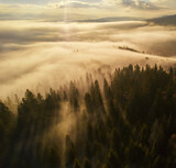 Fototapeta Na ścianę - Sunset over the mountains in the Carpathians. Aerial drone view.