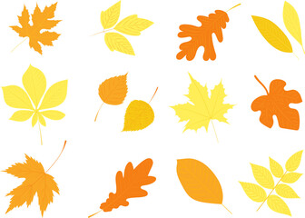 Wall Mural - set of autumn leaves in flat style, isolated, vector