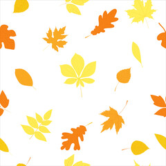 Wall Mural - autumn seamless background with leaves