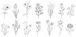 © anya - Set abstract elegant line art flower and leaf. Continuous boho line art silhouette of floral artwork