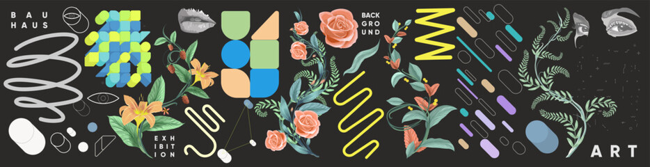 Abstract geometric objects, tropical plants. Set of elements for design. Vector illustrations. Bauhaus style and floral elements.
