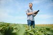 © Serhii - Agronomist inspecting soya bean crops growing in the farm field. Agriculture production concept. young agronomist examines soybean crop on field in summer. Farmer on soybean field.
