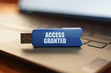 Poster - On the laptop keyboard is a flash drive with the inscription - Access Granted