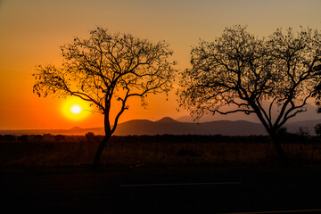 Wall Mural - Landscape at the Arusha national park at sunset, Tanzania