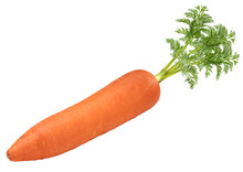 Fresh Carrot With Leaf Isolated On White Background, Orange Carrot On White Background With With Png File.