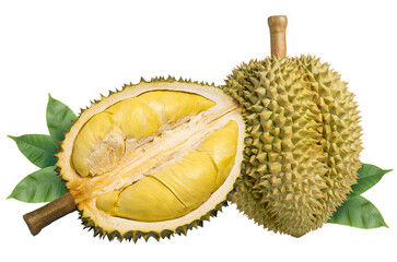 Fresh durian with leaf isolated on white background, Durian fruit isolated on white background With clipping path.