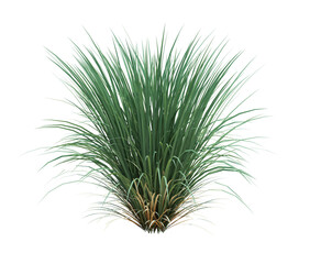 3d render brush tree isolated on white