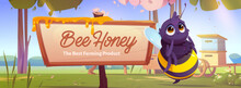 Banner With Cute Bee Near Wooden Signboard With Dripping Honey On Apiary At Forest Meadow With Beehives, Trees And Blooming Flowers At Sunny Summer Day Landscape, Cartoon Vector Farm Product Ads Promo