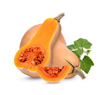 Butternut Squash With Leaves Isolated On Transparent Background