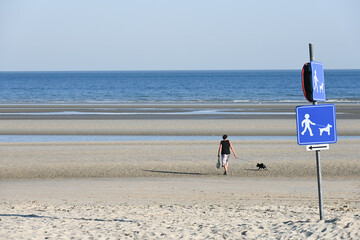 Poster - Belgique Flandre cote belge signalisation chien animaux plage interdit 