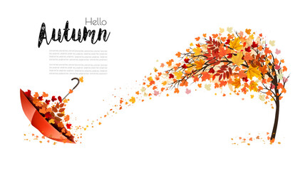 Poster - Autumn absctact background with a tree and a colorful leaves. Vector.