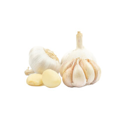 Wall Mural - Fresh Organic Garlic Bulbs and Garlic Cloves (Allium sativum) isolated on white background. concept Herbal and Vegetable extracts are medications for Reduce heart disease risk and relieve colds.