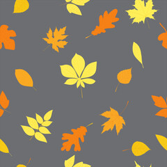 Wall Mural - seamless background with autumn leaves, vector