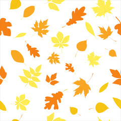 Wall Mural - seamless white background with autumn leaves, vector