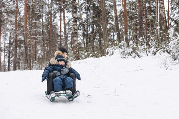 Wall Mural - Two joyful boys sledding and having fun together. Happy children playing in snow in winter forest. Brothers spending time together