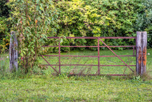 Rusty Gate Between Two Rotting Wooden Beams In The Foreground Of A Nature Reserve. Next To The Gate Is An Electric Fence With Old White Porcelain Insulators.