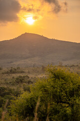 africa