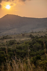 africa