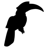 Fototapeta  - Calao or rhinoceros hornbill bird. (Buceros bicornis). Exotic tropical bird. Black silhouette on white background.