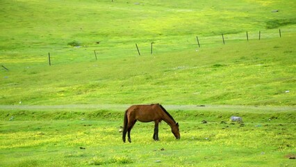 Sticker - Gulmarg, known as Gulmarag in Kashmiri, is a town, hill station, popular skiing destination.