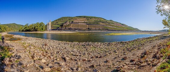 Wall Mural - Panoramic view over the Rhine with Bingen mouse tower at water record low