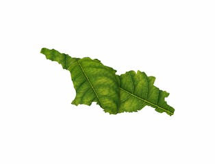 Illustration of the Georgia map made of green leaves on the white background - ecology concept