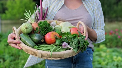 Wall Mural - Close up basket of fresh raw organic vegetables in farmer hands