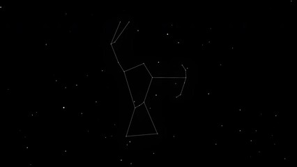 Wall Mural - animation of the orion constellation against the starry sky