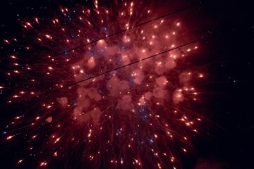 Poster - Display of bright pink fireworks in the night sky