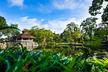 Canvas Print - Shady Public Park in Chiang Mai Province