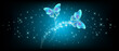 Flying butterflies with sparkle and blazing trail