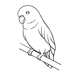 Wall Mural - Coloring page for book with cute cartoon budgie. Educational kids activity page and worksheet with little parrot. Cartoon Isolated vector illustration.