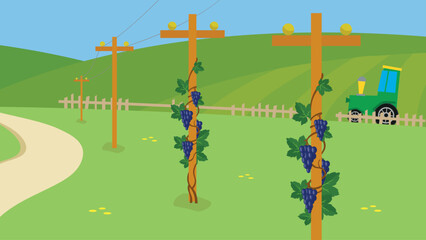 Poster - pillar entwined with blue grapes