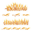 Wheat ears decorations. Cereal spikelets symbols isolated on white background. Design elements for bread packaging, beer label or organic grain products,