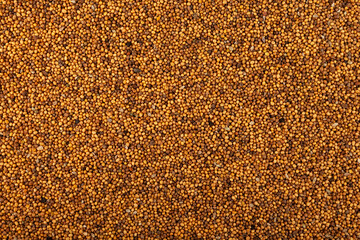 Wall Mural - White mustard seeds, close-up. Top view, copy space. Mustard seeds are an excellent siderate for enriching soil with organic matter. They have fungicidal and bactericidal properties