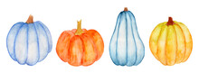 Watercolor Collection Of Various Pumpkins Isolated On White Background. Elements For Harvest, Thanksgiving, Halloween.