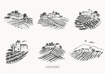 Hand drawn vineyard sketch. Grape plants fields landscape illustration.