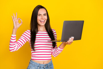 photo of young attractive cute perfect nice lady programmer hold laptop showing okey sign work done 