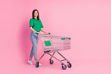 Wall Mural - Full size portrait of cheerful pretty girl push supermarket trolley isolated on pink color background