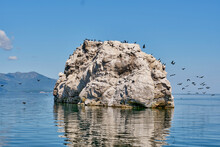 Resting Place For Cormorants And Seagulls. White Stone Island. Chivyrkuisky Bay Of Lake Baikal.