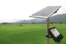 Electric Light Solar Panel Plate With Park LED Lamp At The Rural Rice Field, Thailand