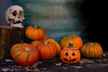 Canvas Print - halloween decoration with pumpkins and skull