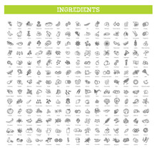 Vegetables And Fruit Vector Flat Collection