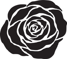 Rose Flower Silhouette