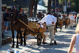 Fototapeta  - Góral jedzie bryczką konną w Zakopanem po Krupówkach ulicą. 