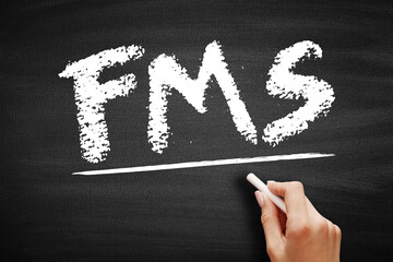Aufkleber - fms - fleet management system acronym, business concept on blackboard